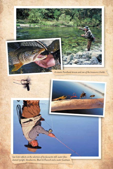 Fly fishing in Wanaka, Queenstown, Turangi, New Zealand, with