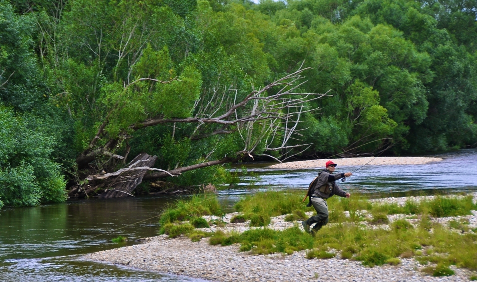 Demystifying The Hex Hatch - Fly Fishing, Gink and Gasoline