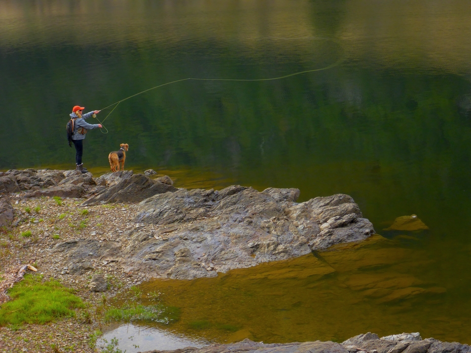 The best indicators, fence pulled sheep's wool, tied onto old fly line. : r/ flyfishing