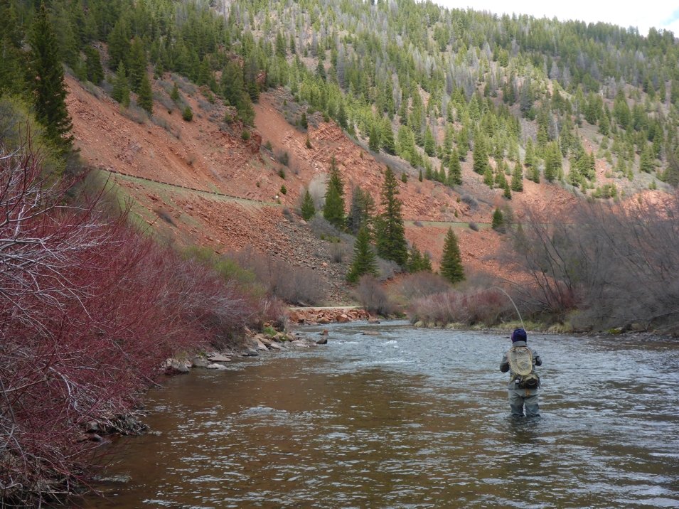 Books by Derek Grzelewski: Trout Diaries and Trout Bohemia