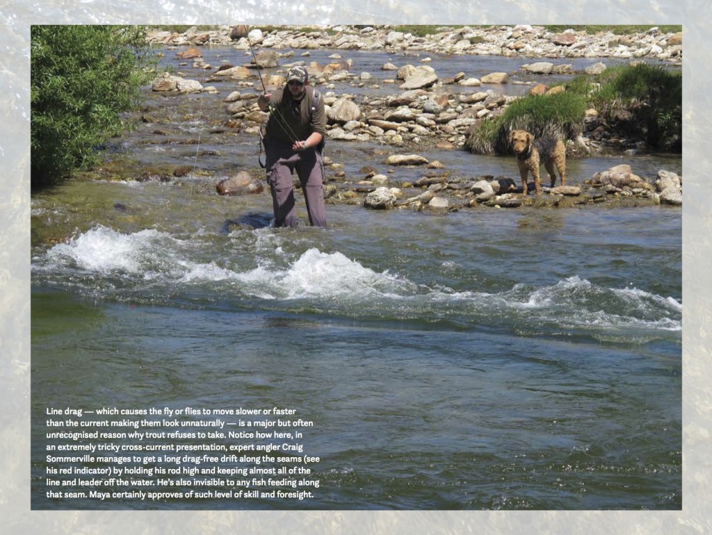 Fly Fishing in New Zealand, What You NEED to Know, by Derek Grzelewski 10