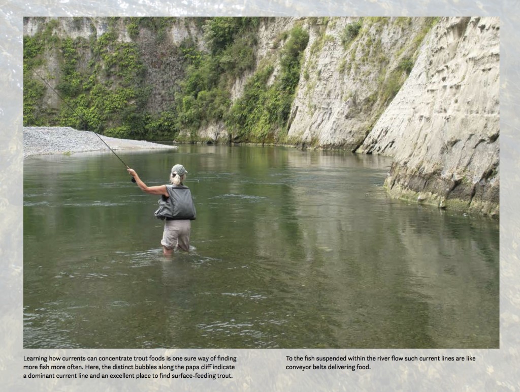 Fly Fishing in New Zealand, What You NEED to Know, by Derek Grzelewski 11