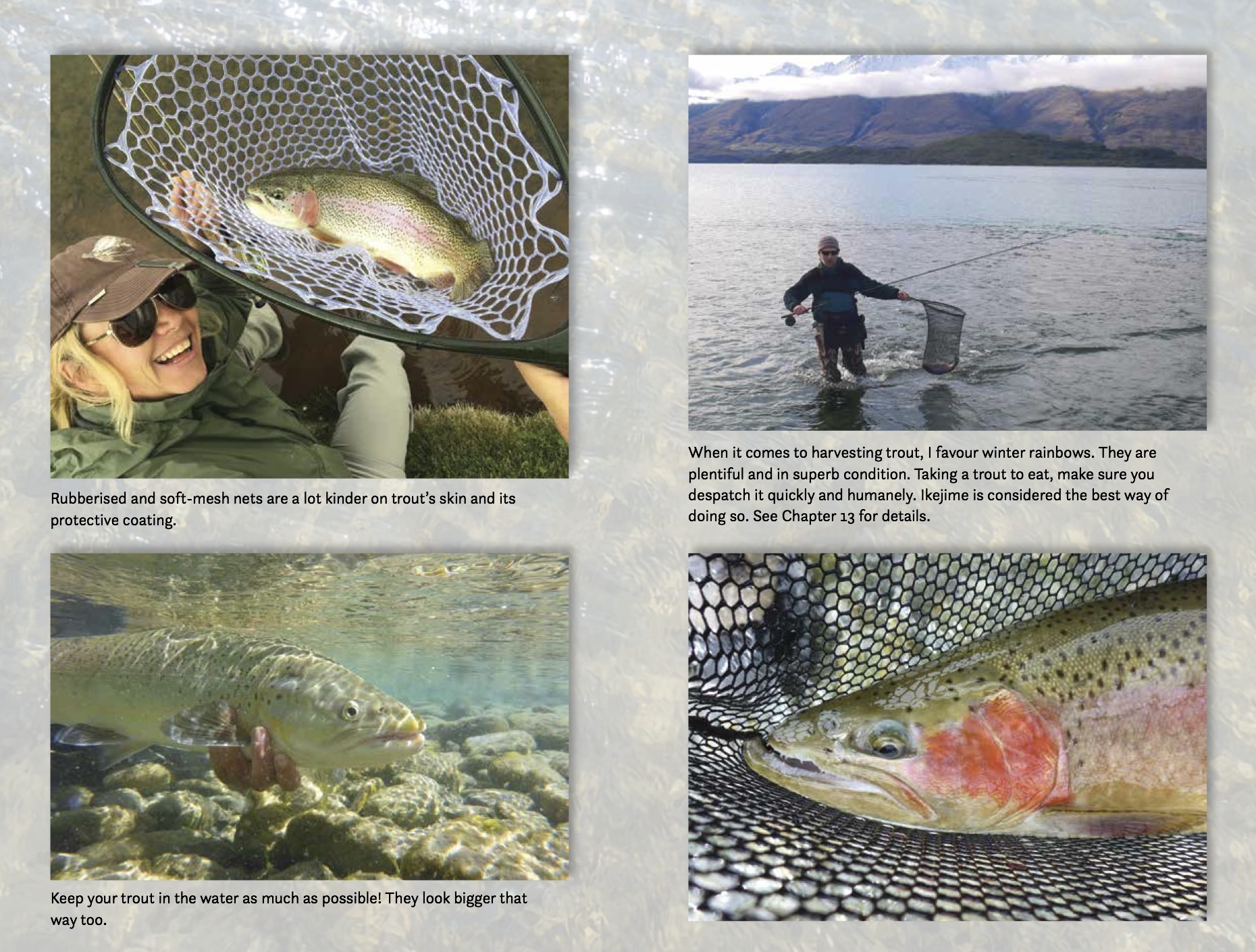 Fly fishing in Wanaka, Queenstown, Turangi, New Zealand, with